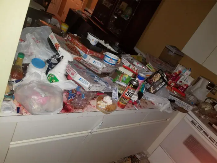 A Hoarder Cleanup